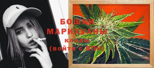 ECSTASY Осинники