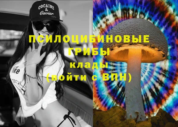 каннабис Абаза