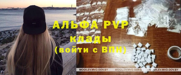 винт Осташков
