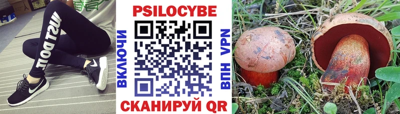 Галлюциногенные грибы Cubensis  наркотики  Власиха 